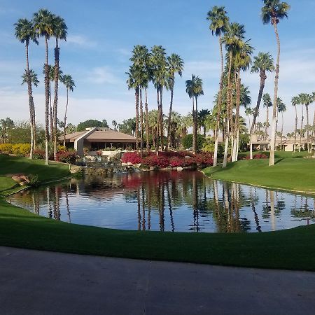 Begonia Willa Palm Desert Zewnętrze zdjęcie