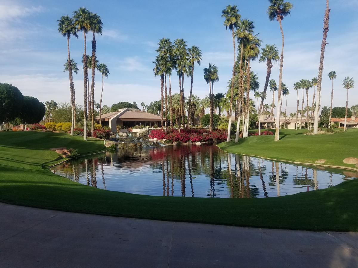 Begonia Willa Palm Desert Zewnętrze zdjęcie